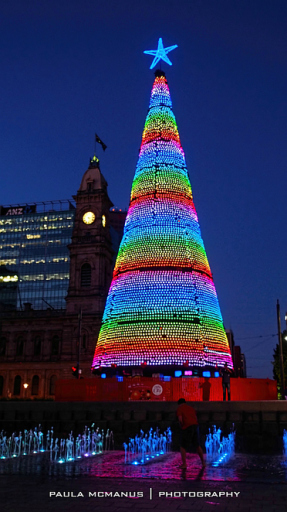 christmas-tree-victoria-square-adelaide