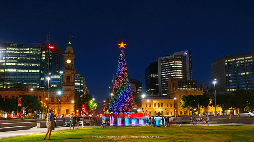 victoria-square-tarndanyangga-christmas-tree